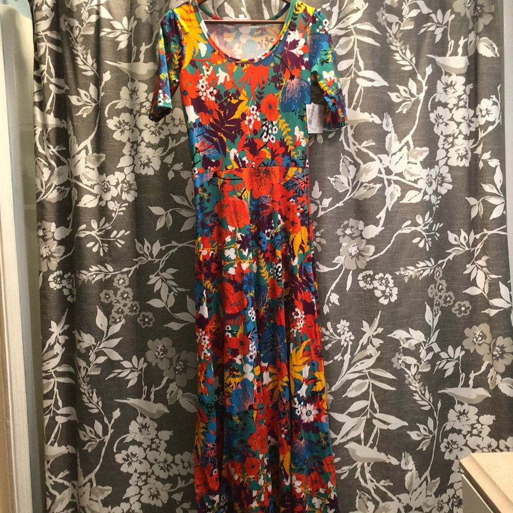 LuLaRoe Colorful Floral Maxi Dress